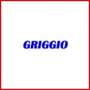 SHELIX Heads for Planers by GRIGGIO