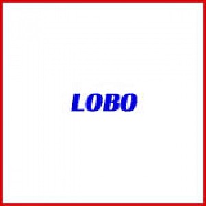 SHELIX Heads for Planers by LOBO